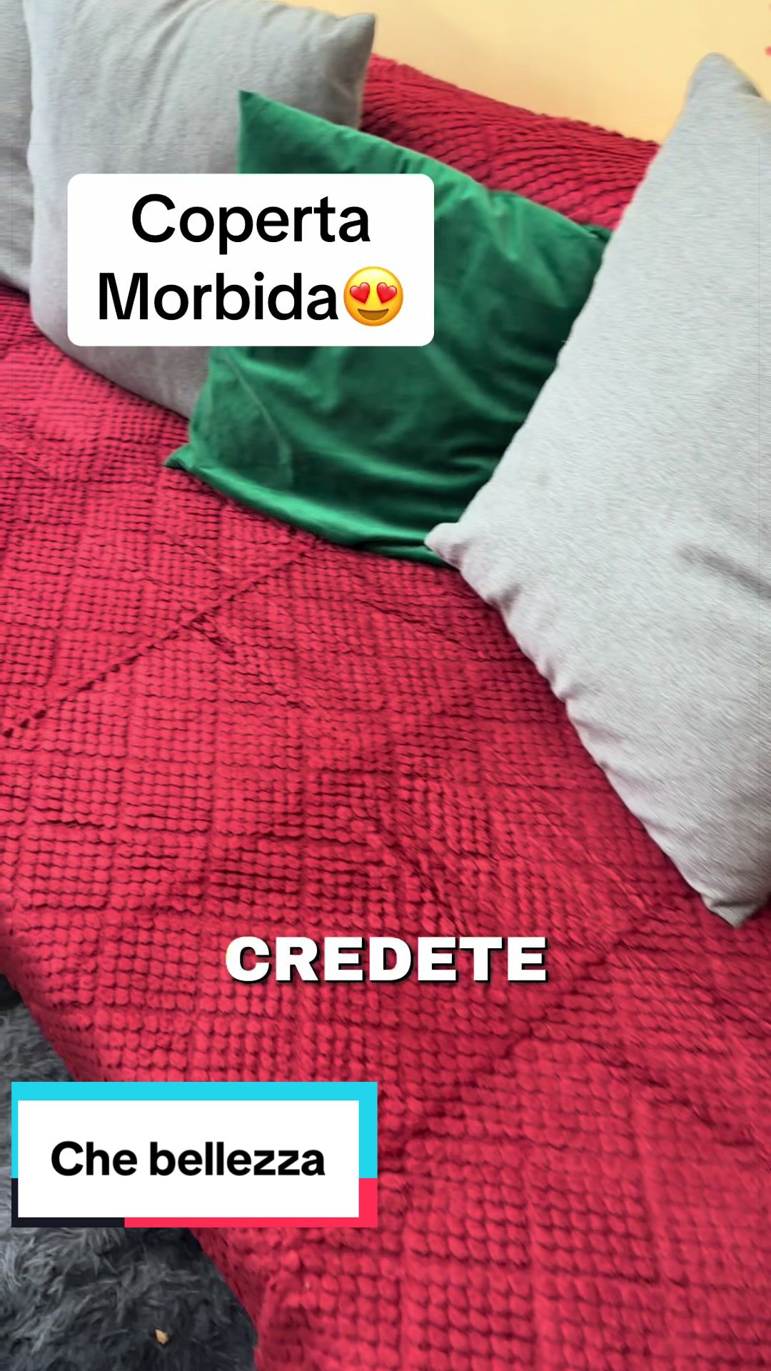 @tiktokdicatalina