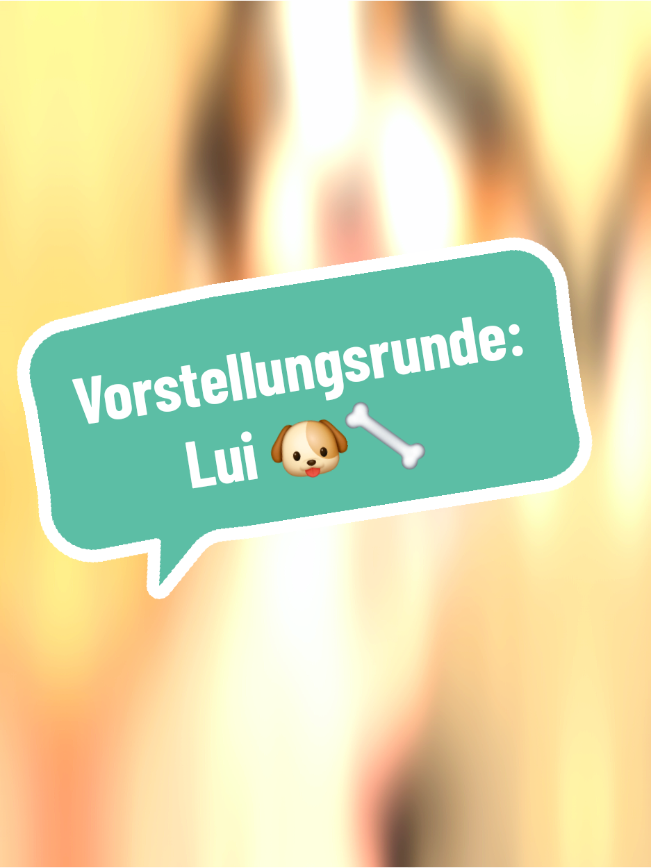 @BeagleTrifftBerner