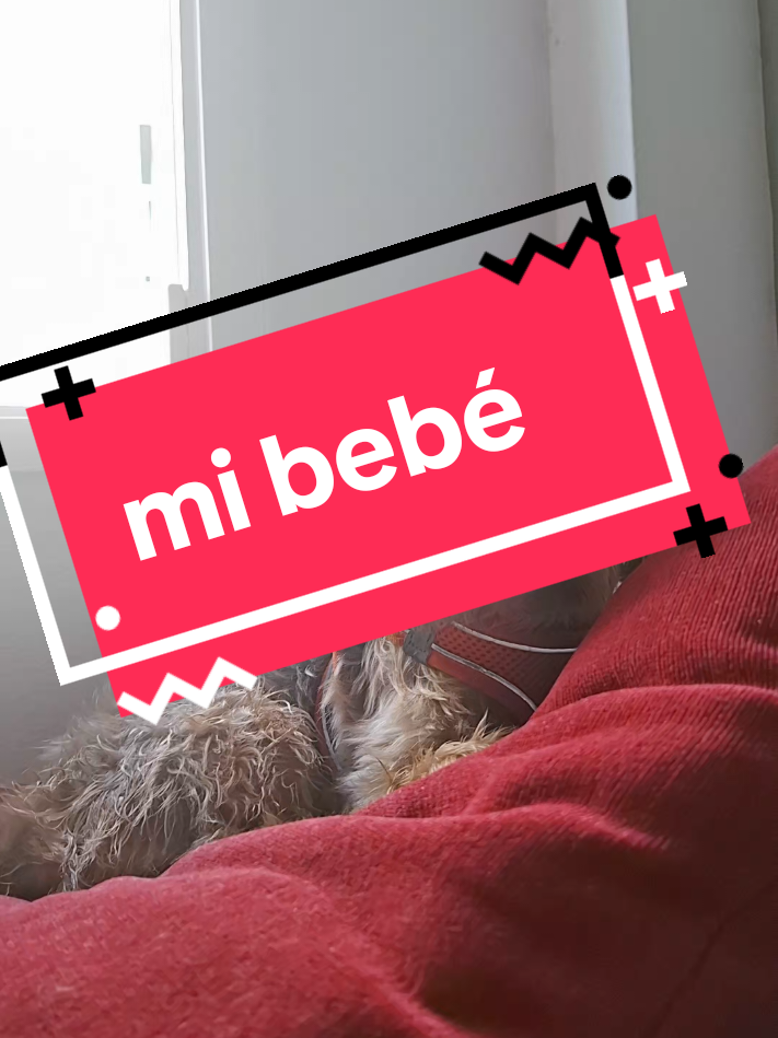 @Milu