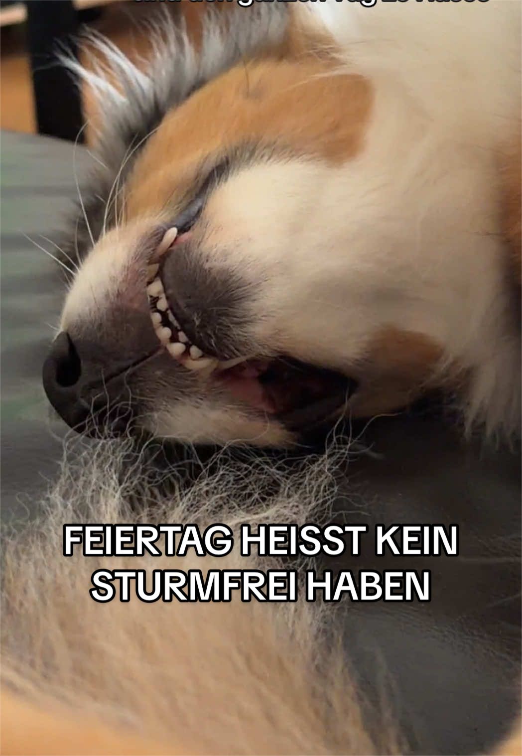 @liebe.lisbeth