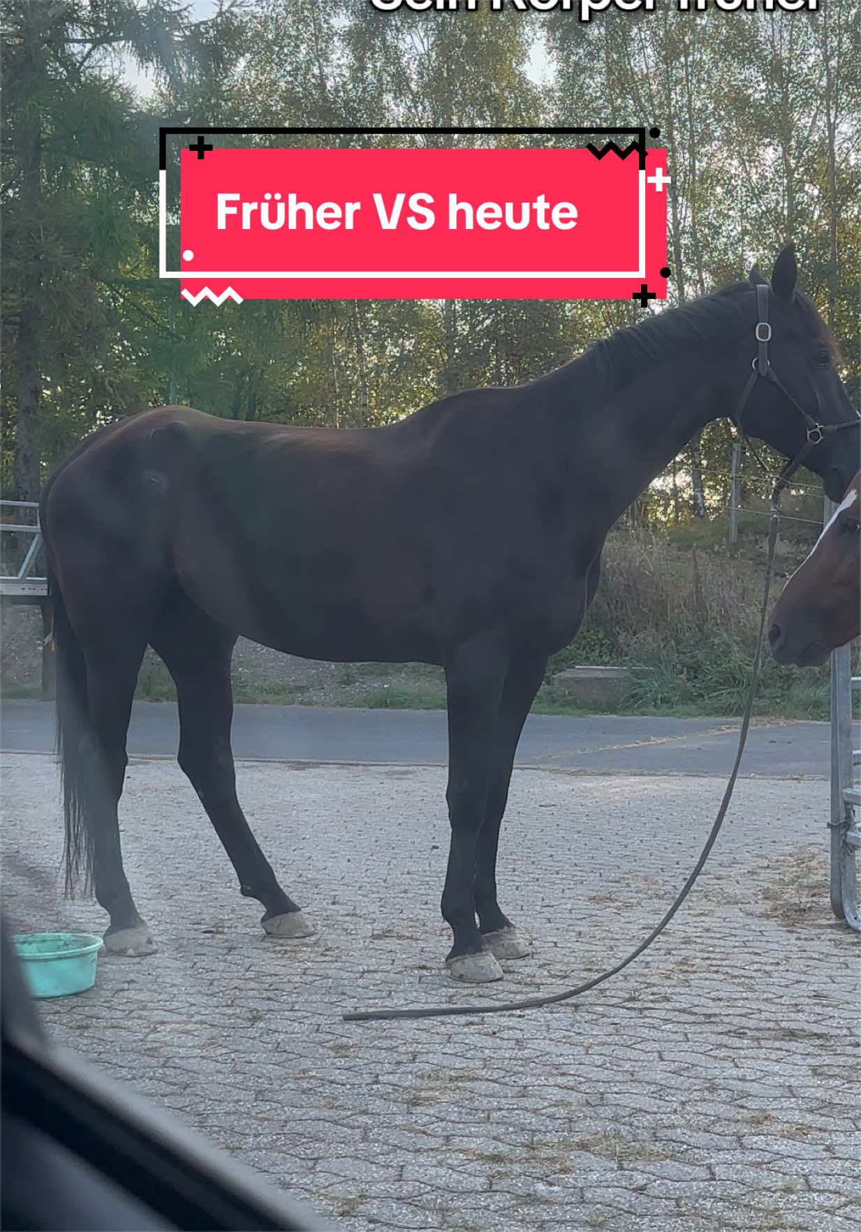 @fuerst_albert