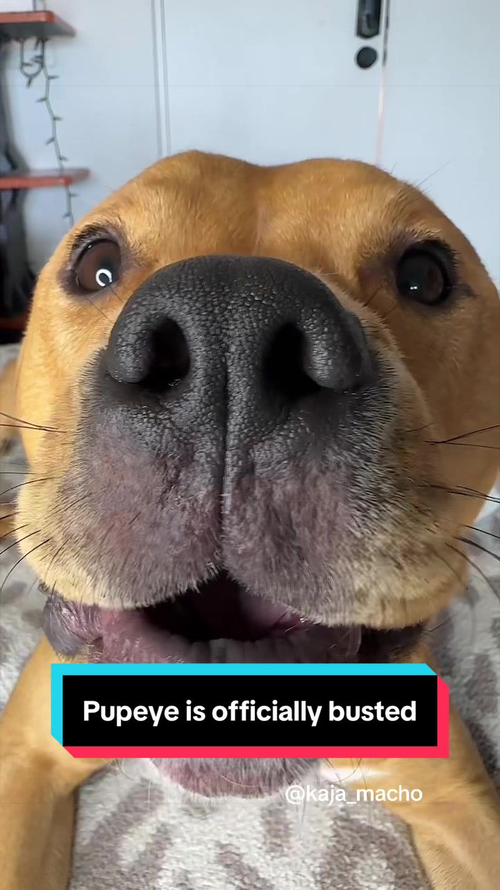 @Kaja & Macho 🥰