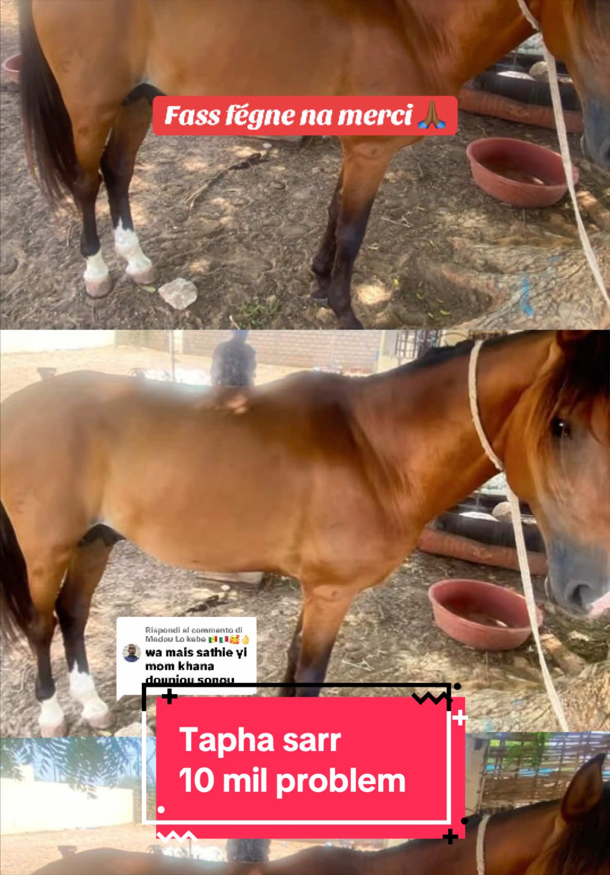 @10milproblem