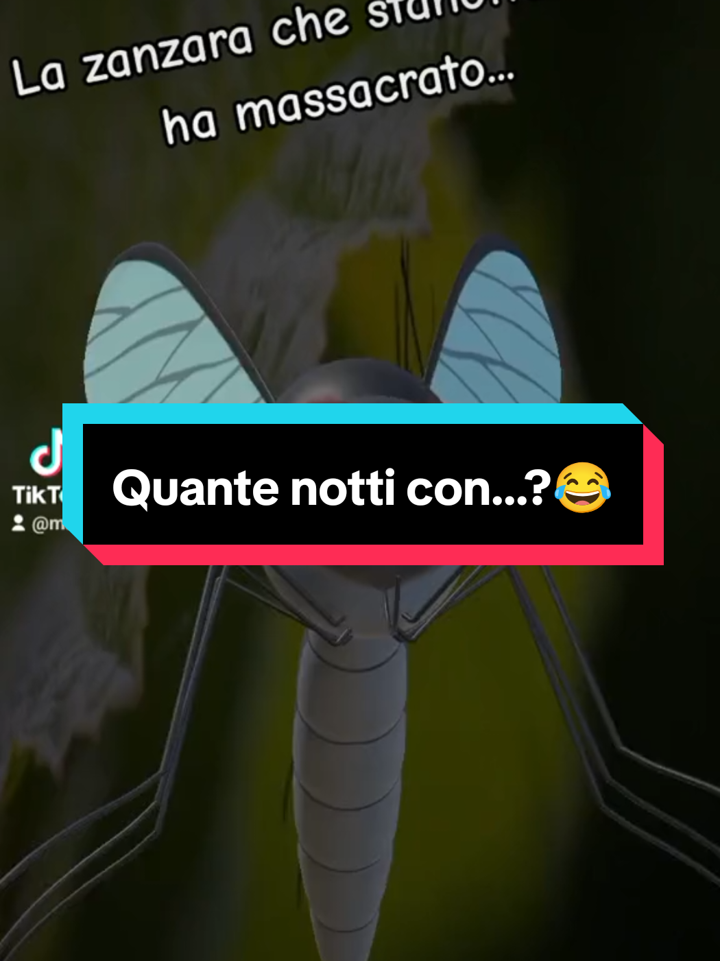 @Manuelnapo84
