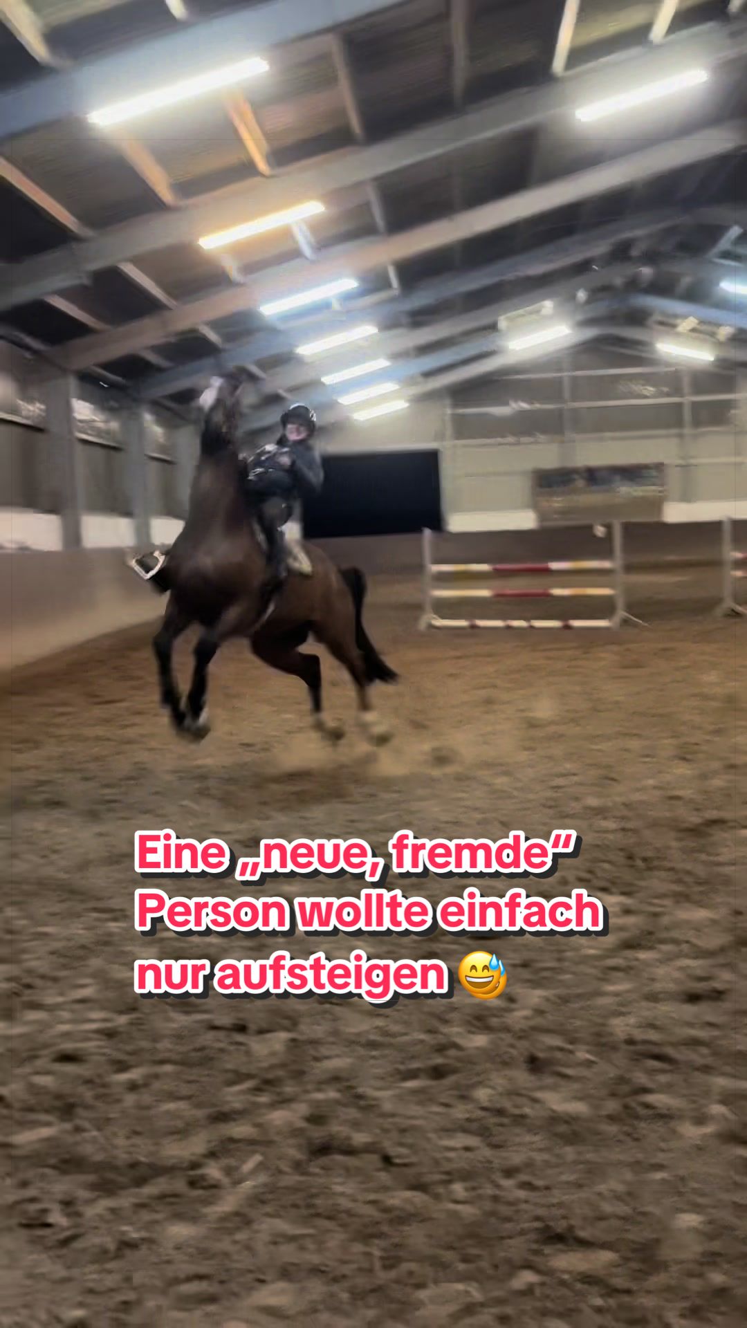 @La.Dolce.Horses