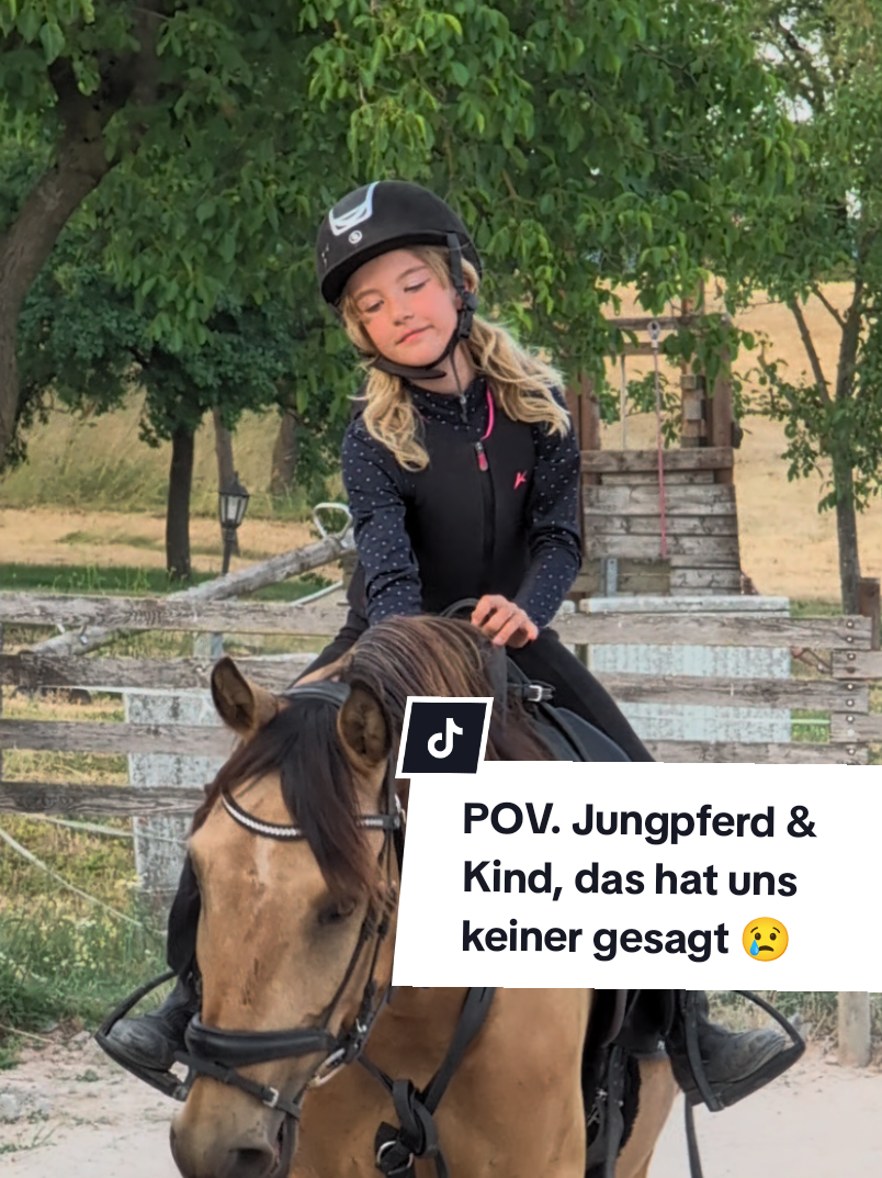 @Caro_Sofie_Offenstallliebe