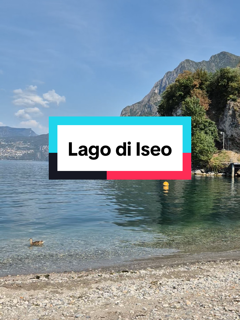 @Alberto_Cord_𝕋𝕣𝕖𝕜𝕜𝕚𝕟𝕘