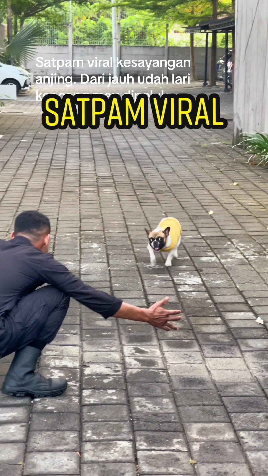 @PINAT SANJI