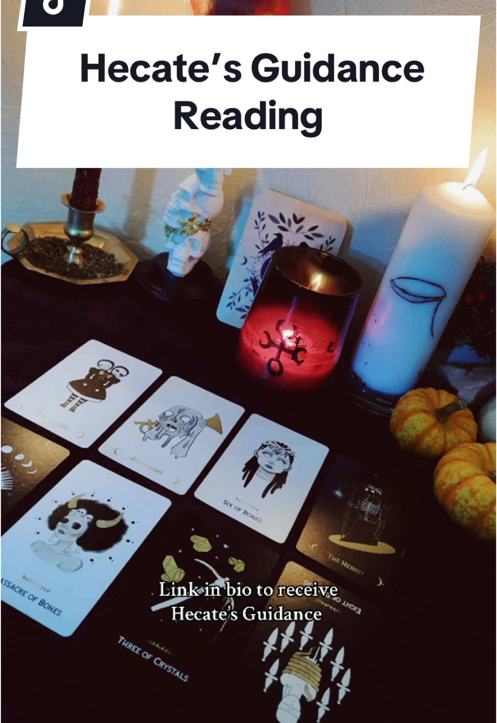 @Maple Magick