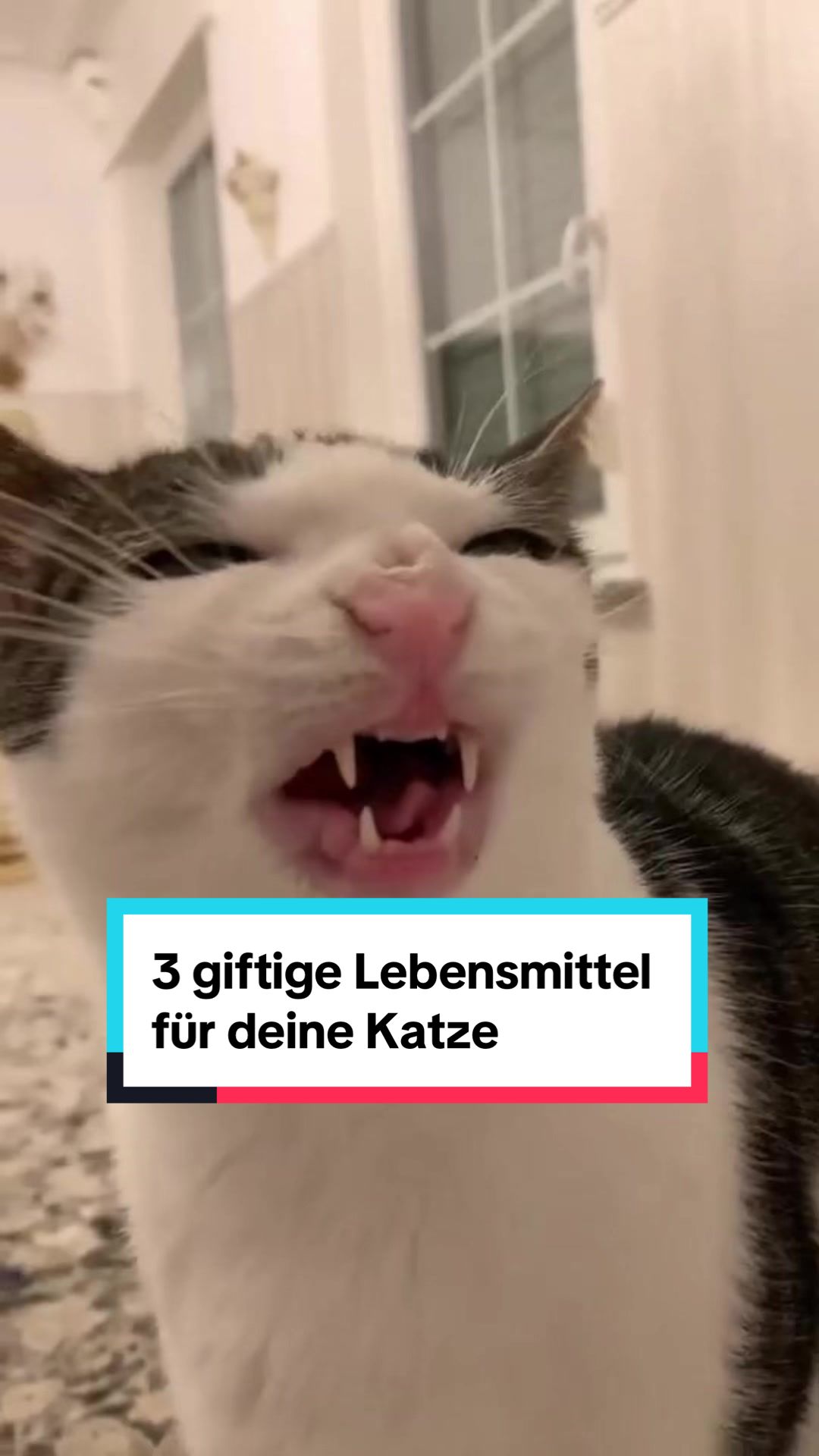 @herumreisen