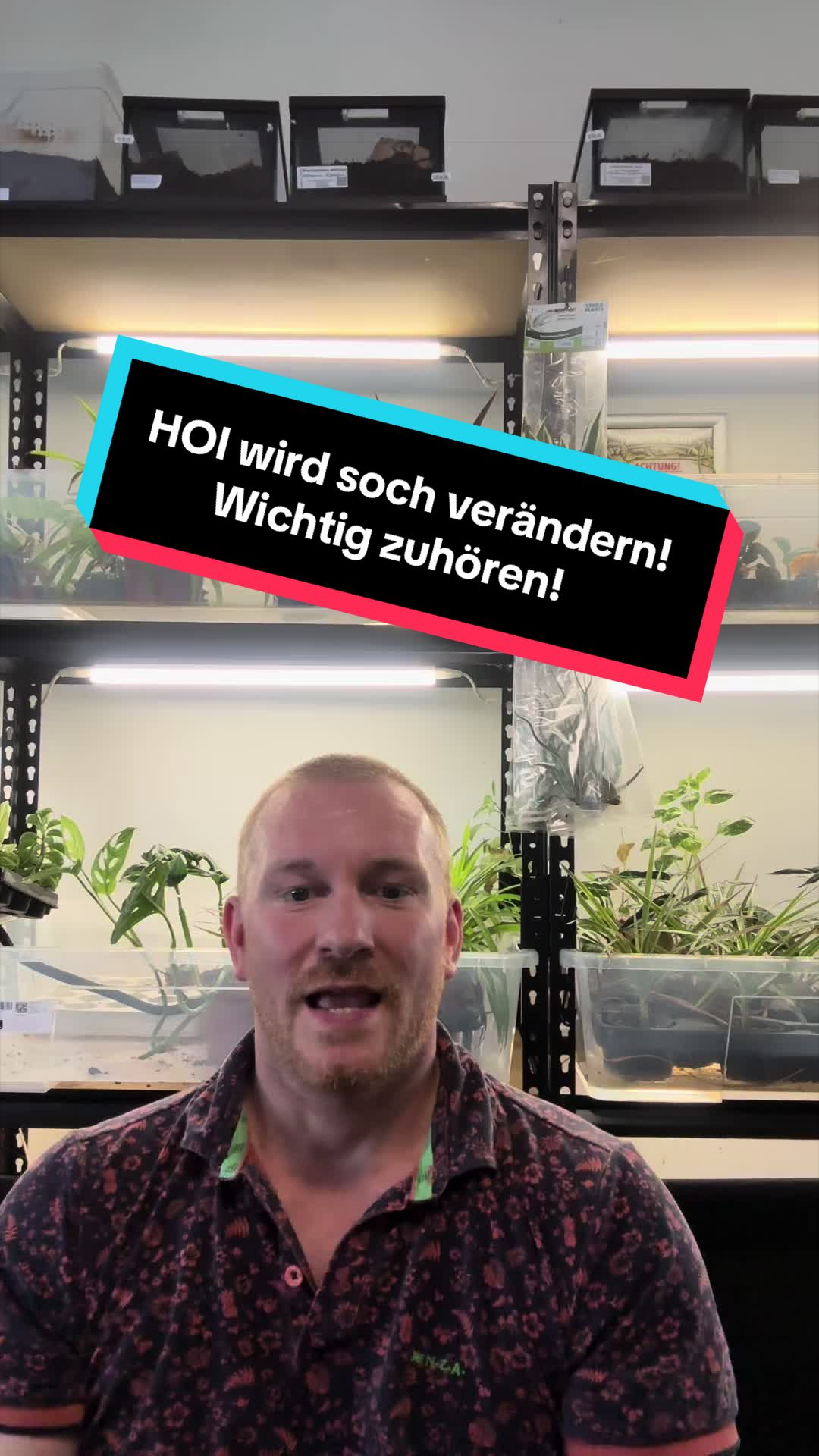 @Home-of-Insects