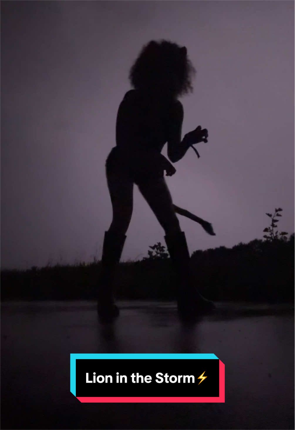 @Curly_Lioness