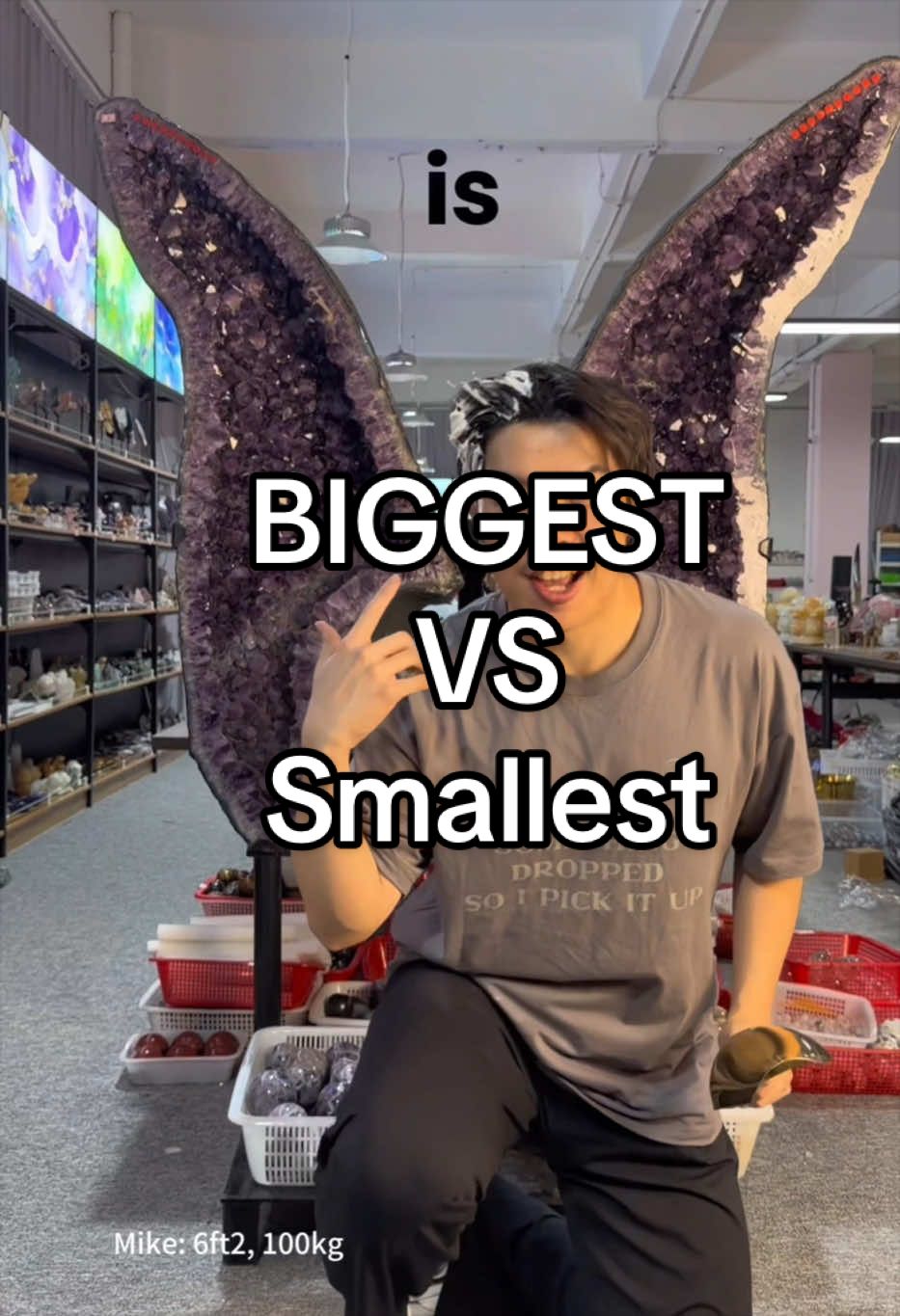 @wholesaler_mike