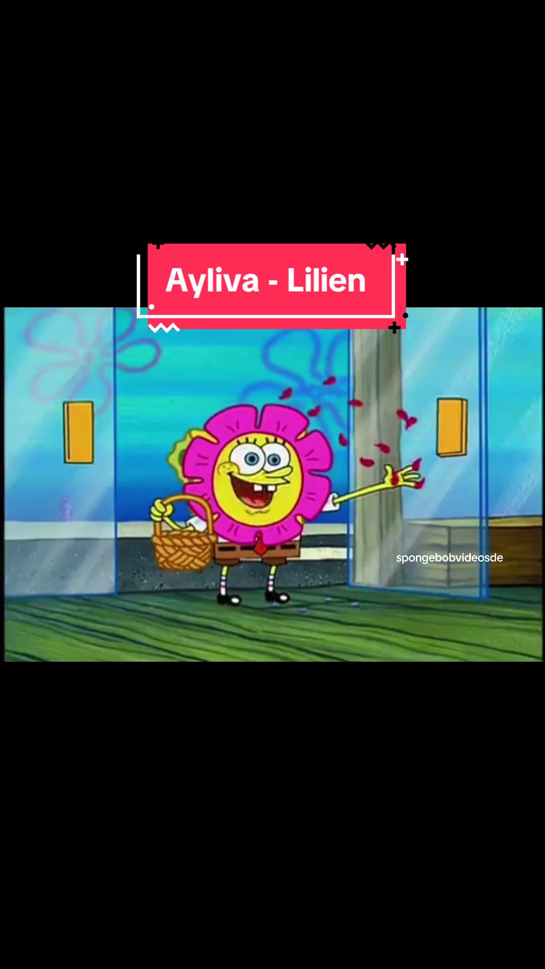 @Insta: spongebobvideos.de