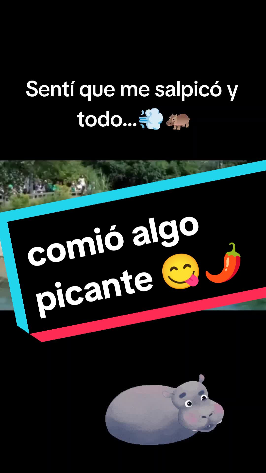@elgatok