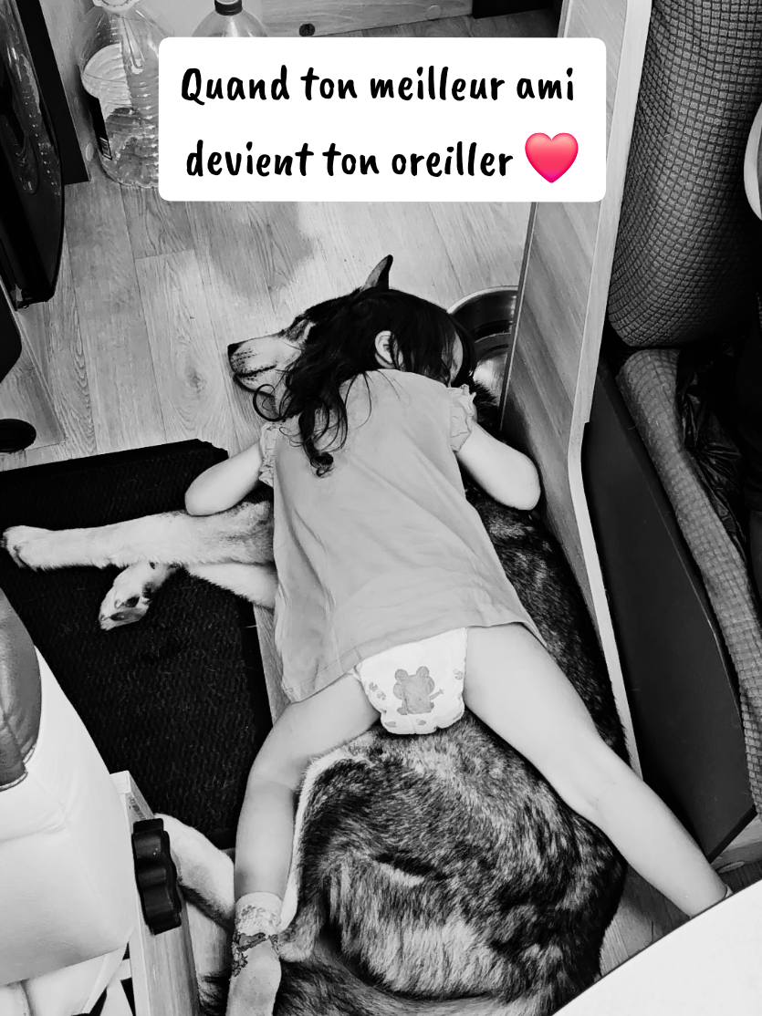 @Les p&rsquo;tits loups en vadrouille
