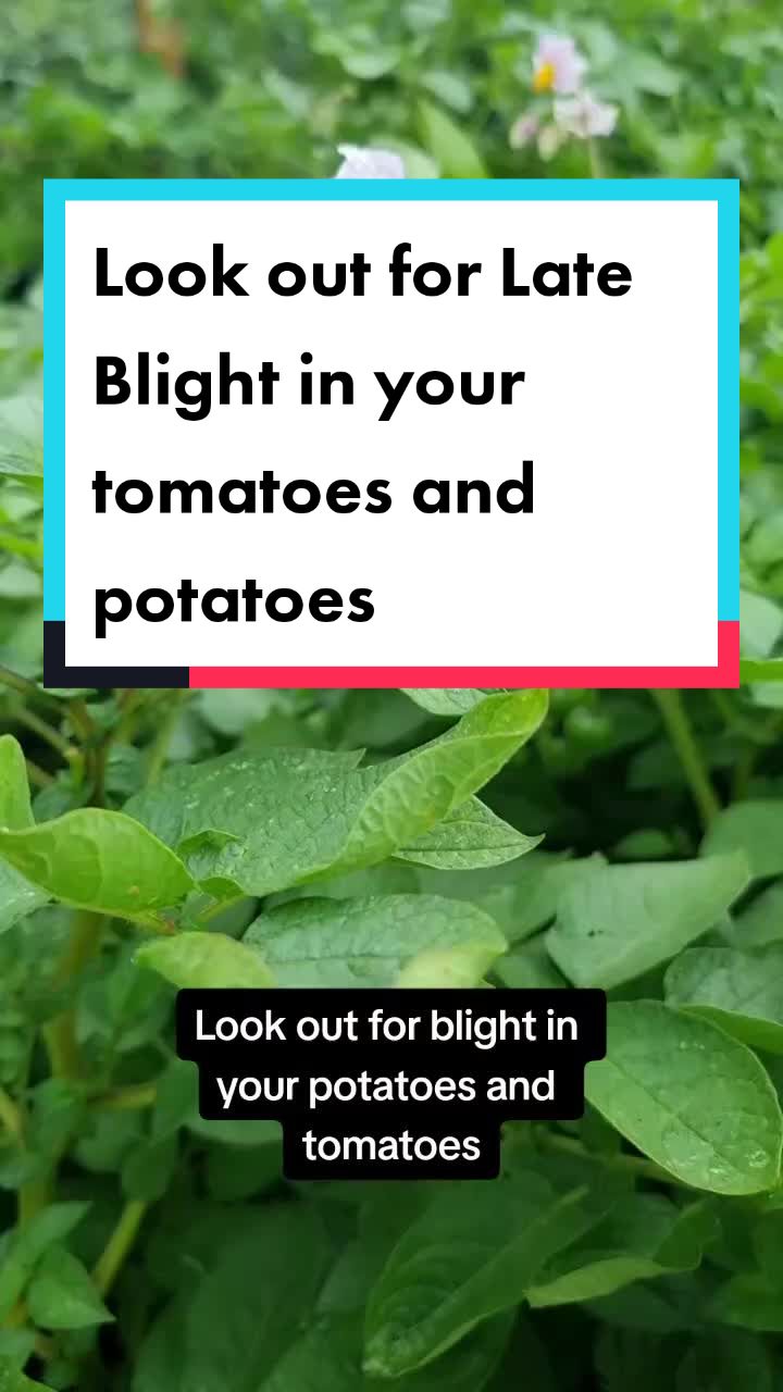 @GrowFruitandVeg