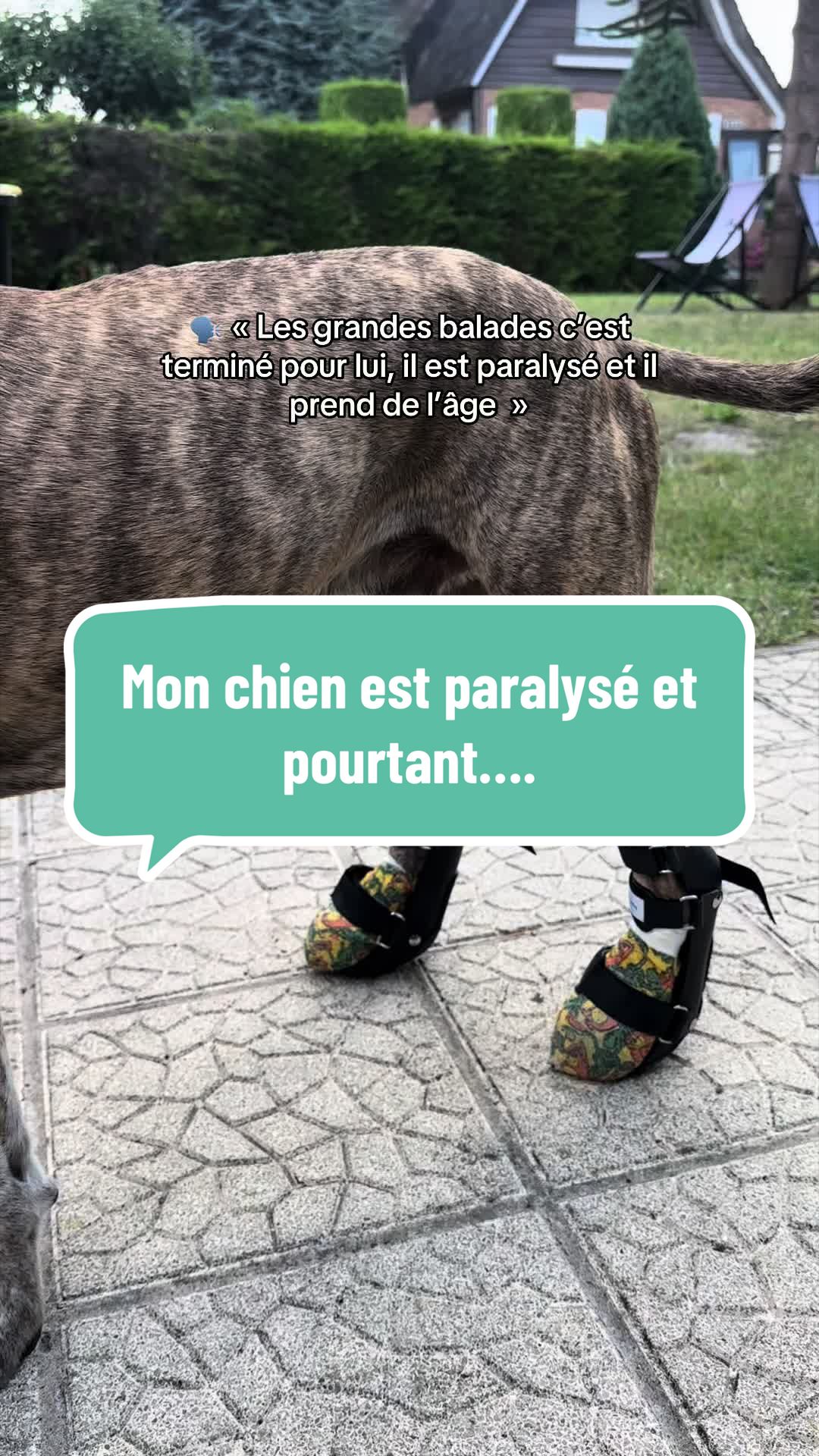 @Mathilde & ses animaux🌼