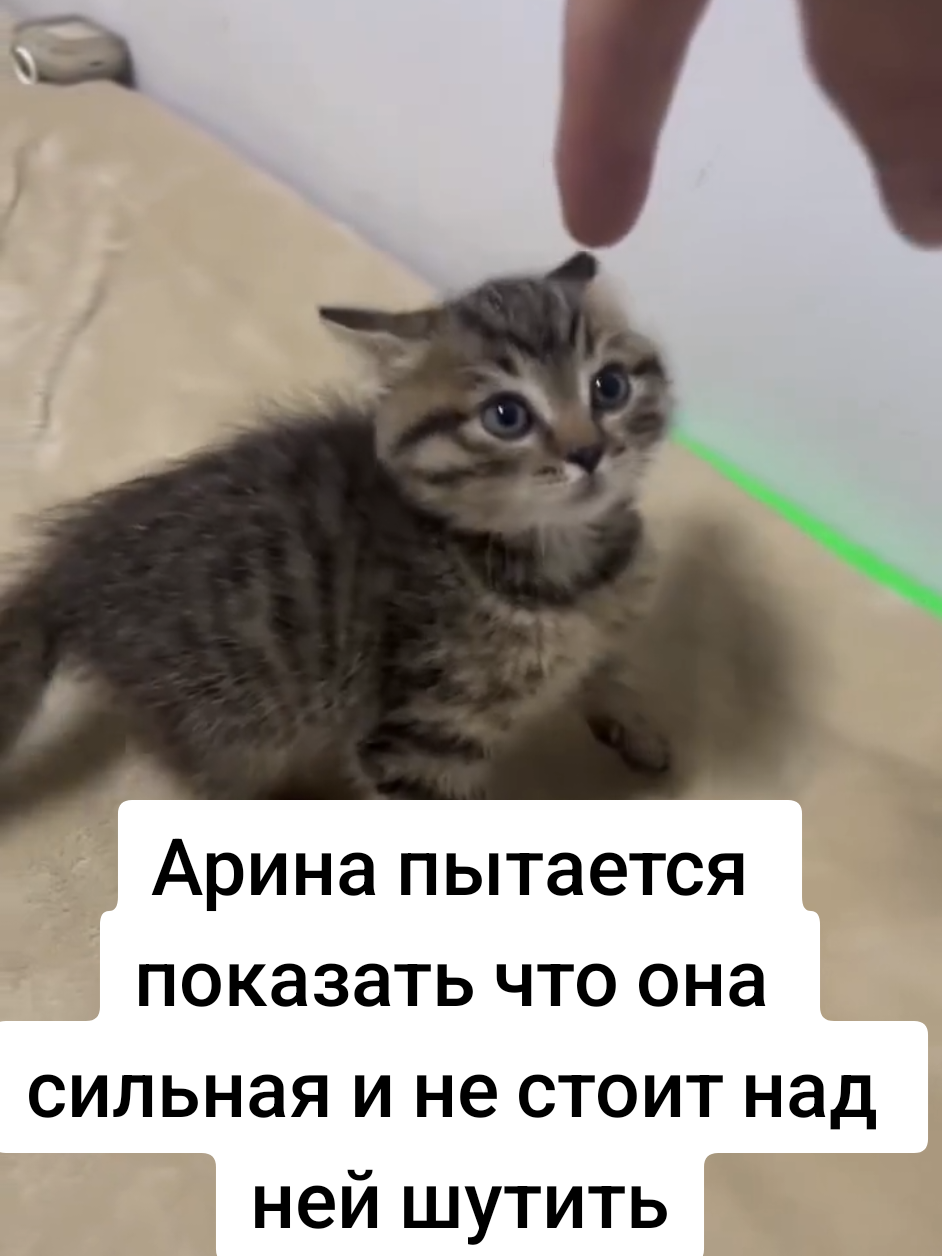 @lilvkid