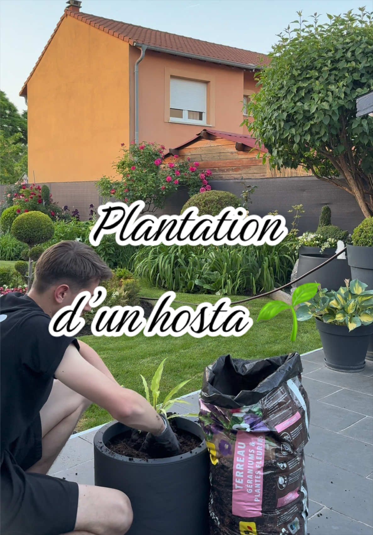 @Jardin de Rémi