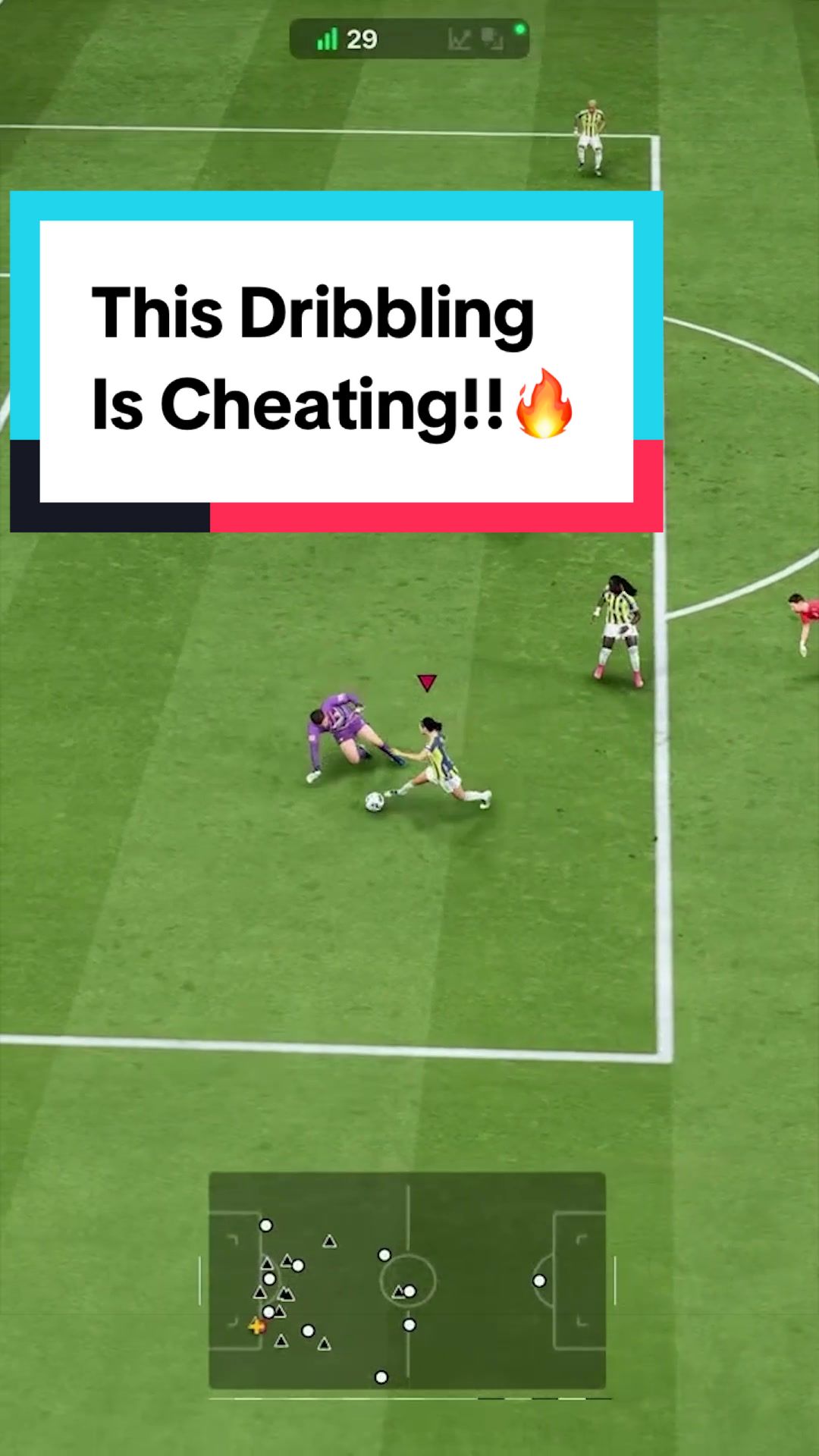 @THE GUIDE - FC Coaching