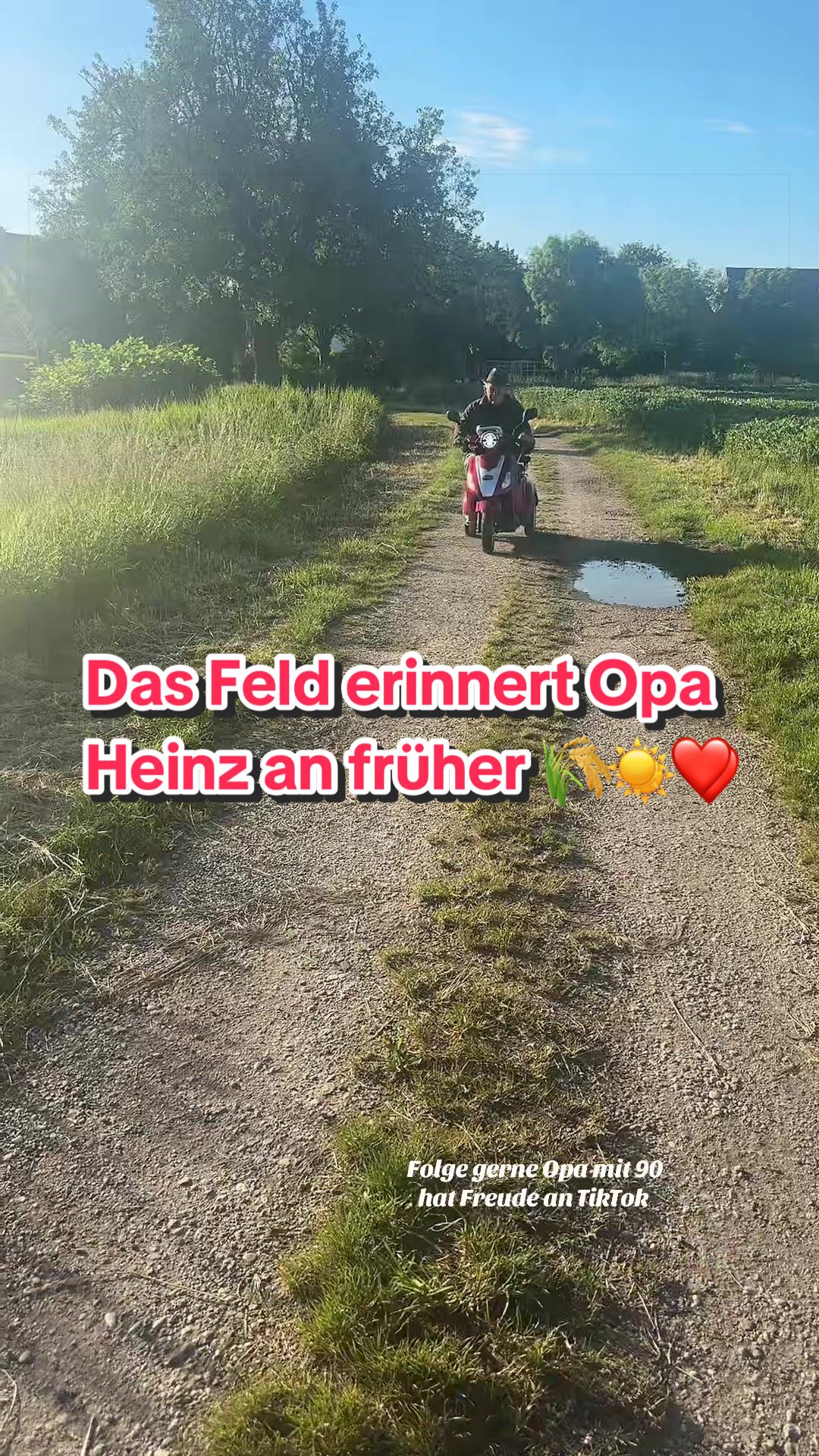 @tiktokheinz