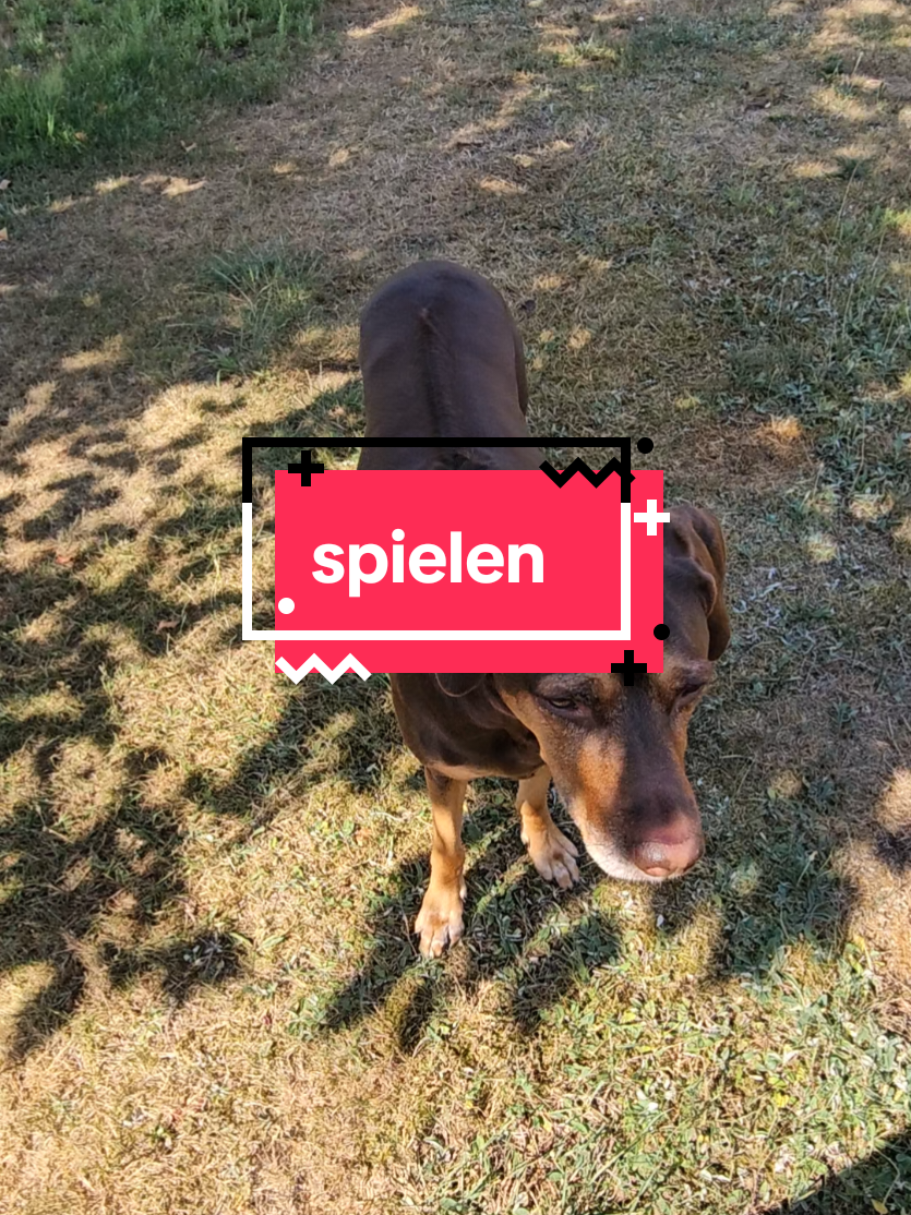 @Paddy und Sally