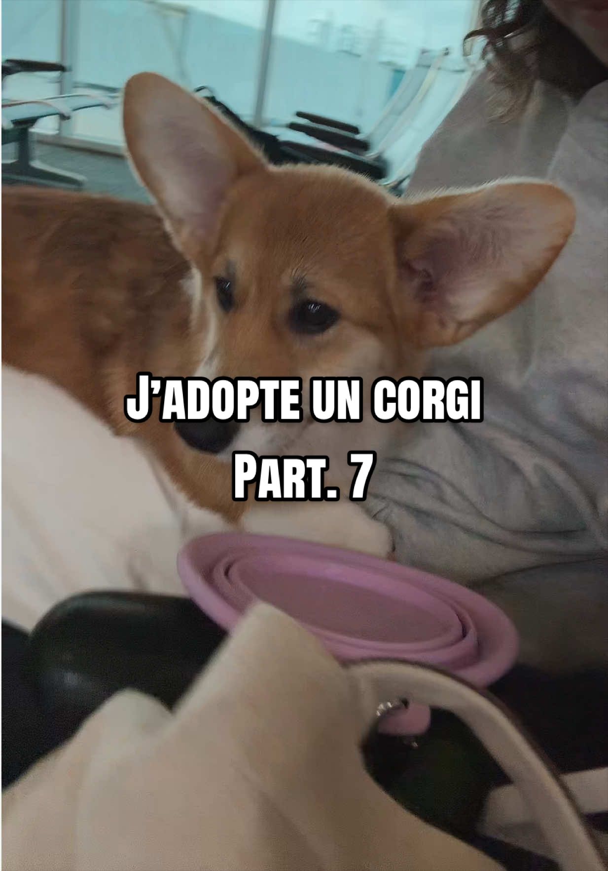 @Yaroush