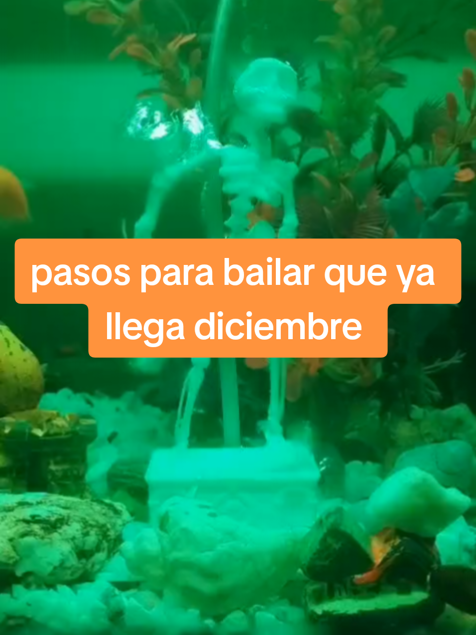 @Jp &Aacute;lvarez🇨🇴 🇵🇹 🇪🇦 🇹🇷
