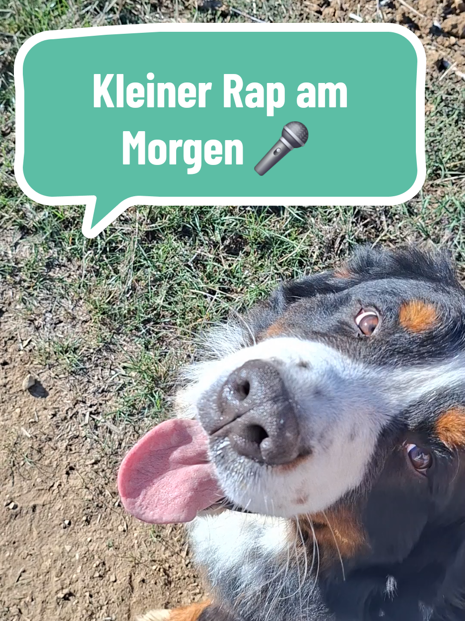 @BeagleTrifftBerner