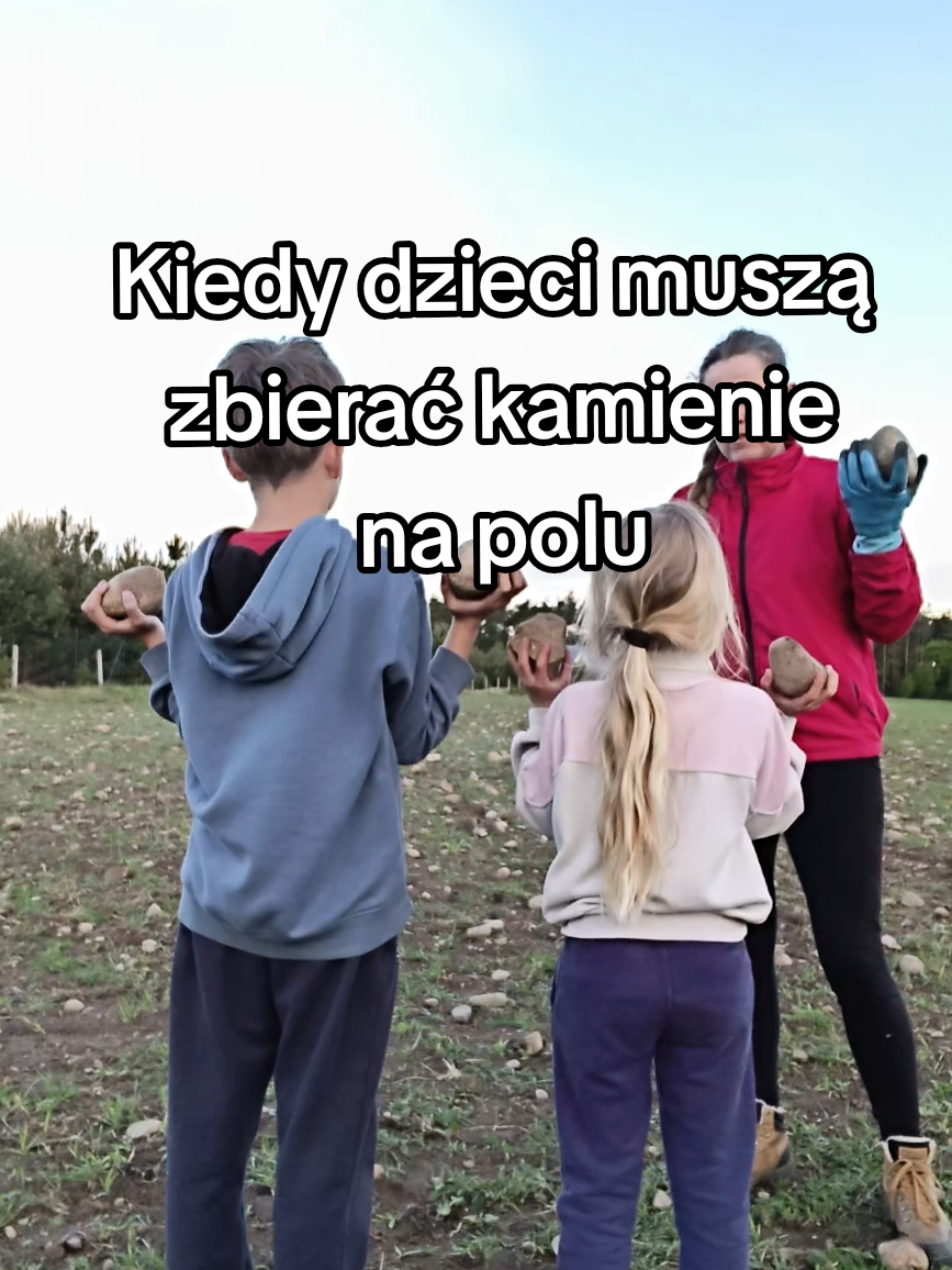 @Makowa Koza - sery z Kociewia