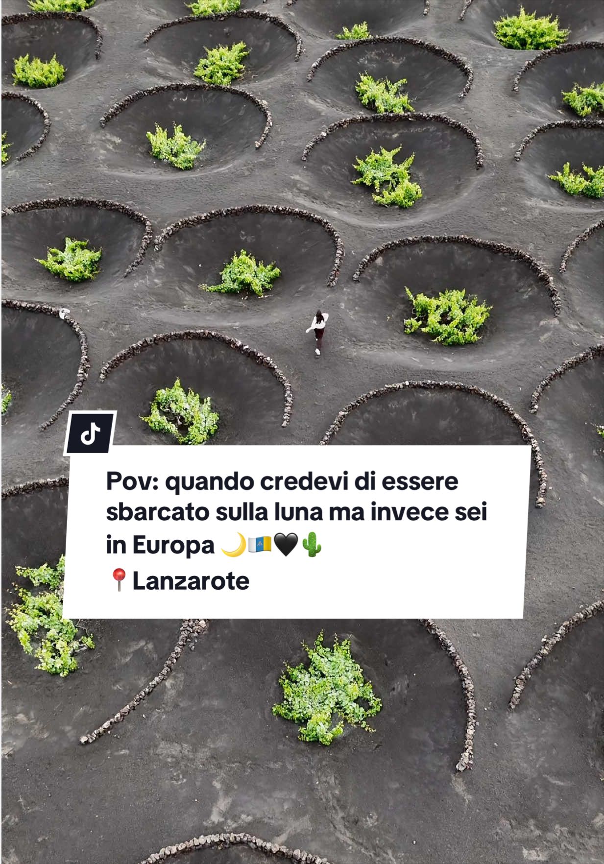 @Carmen Aprile