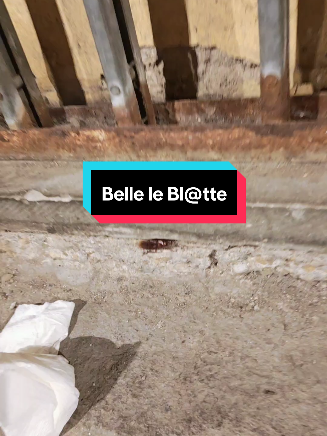 @Jacopo I'taNganetor