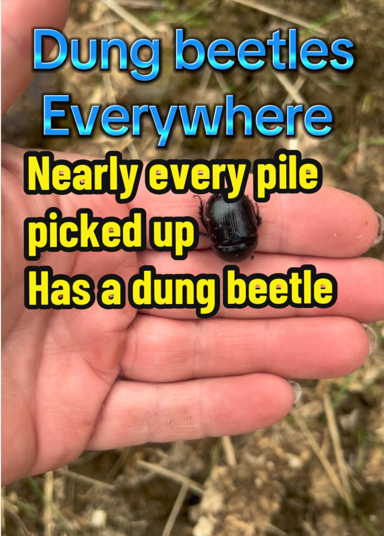 @Becky Evans444