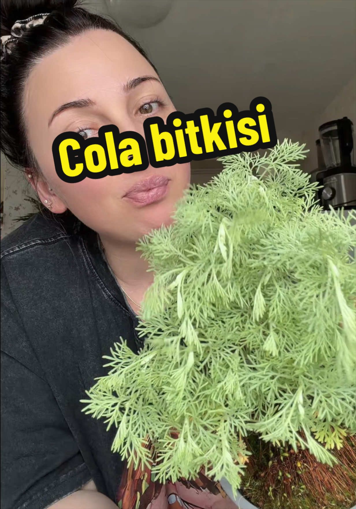 @HelloBilana