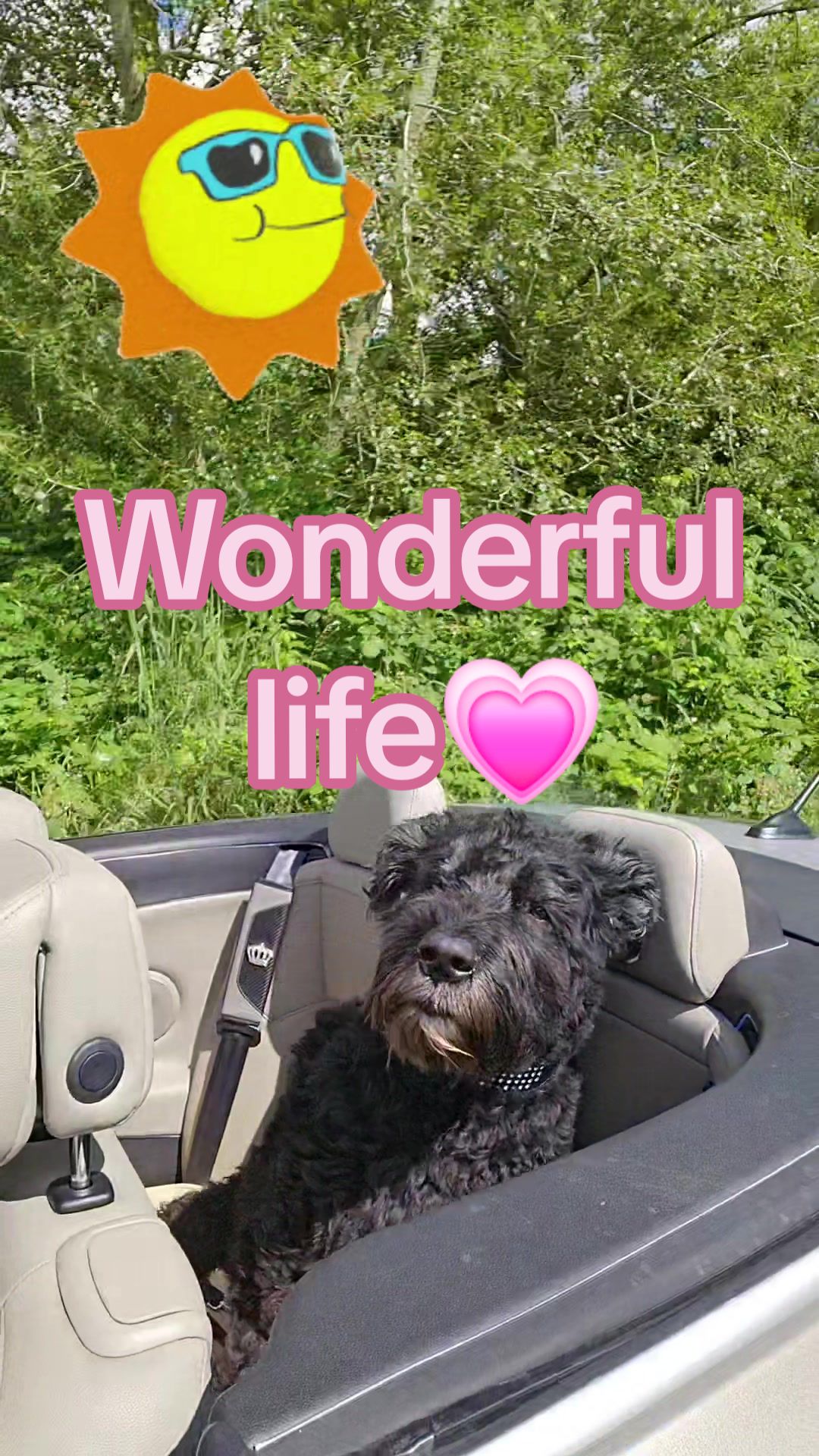 @💗Noa💗