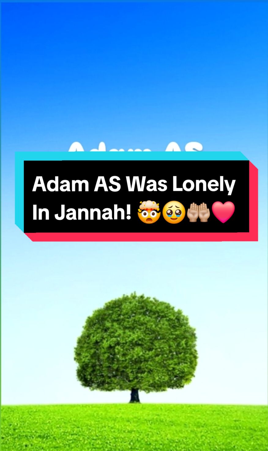 @Hassan