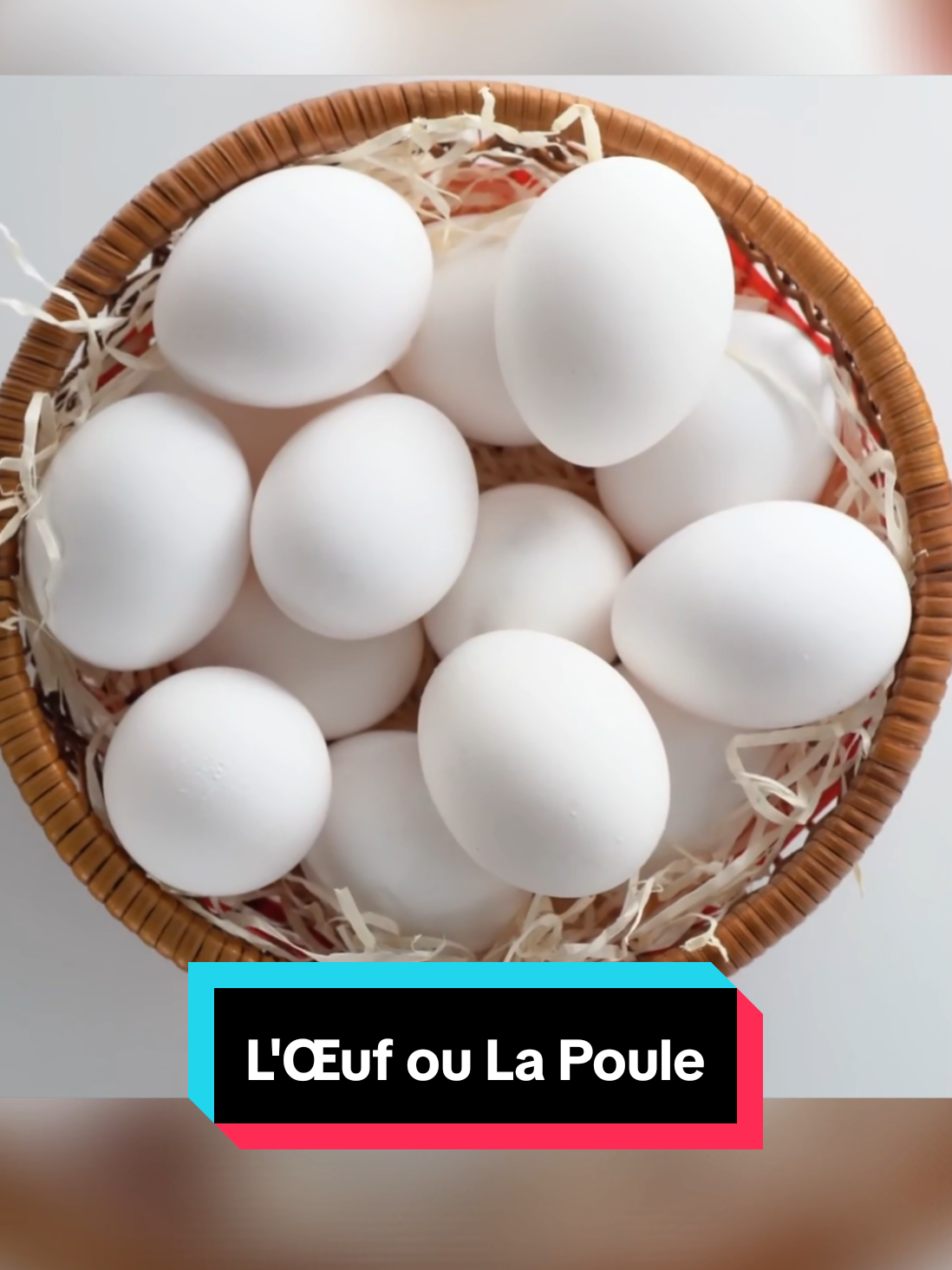 @Savoir Plus 🤓