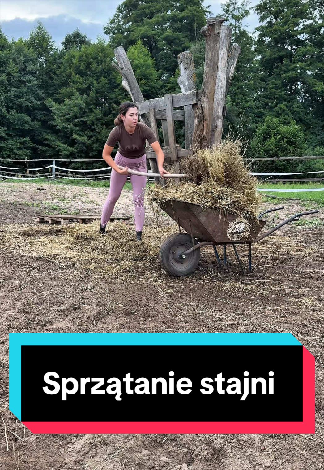 @Stado_Belli
