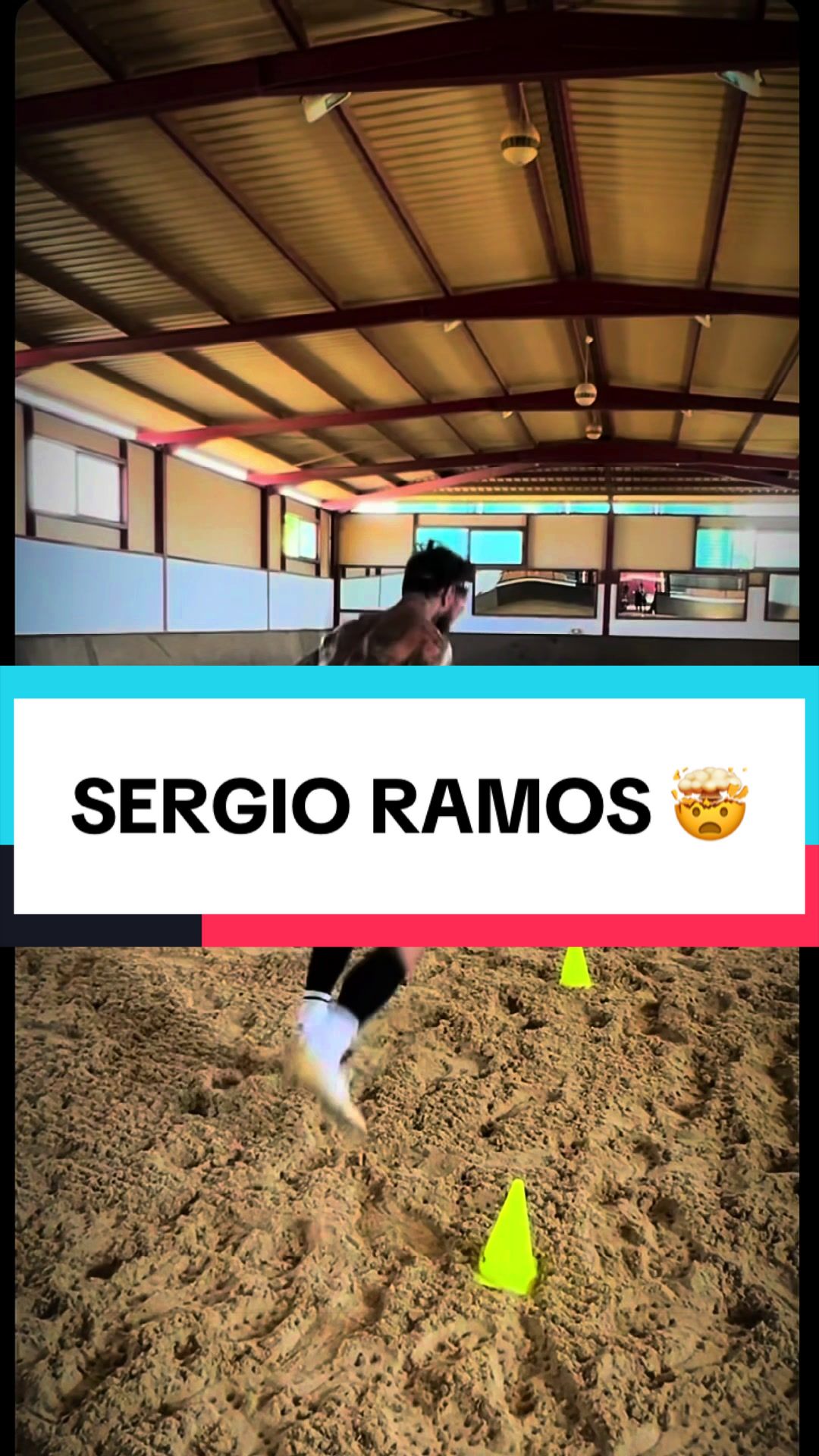 @Dardanidrizi