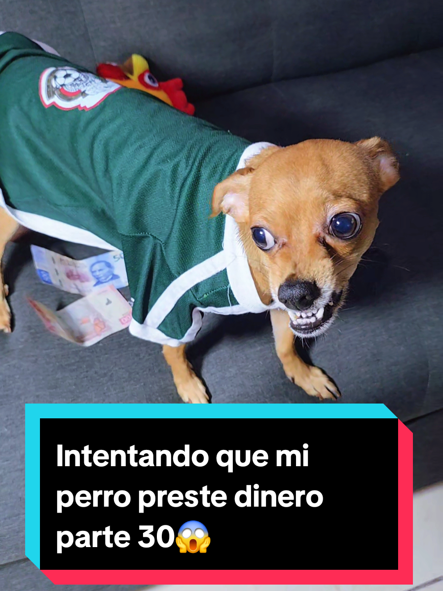 @coco el enoj&oacute;n 🐶 ❤️