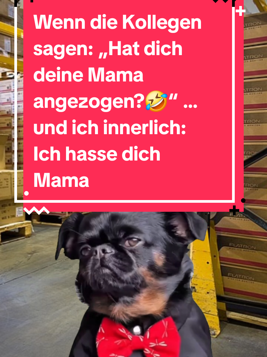 @BroFactsDE