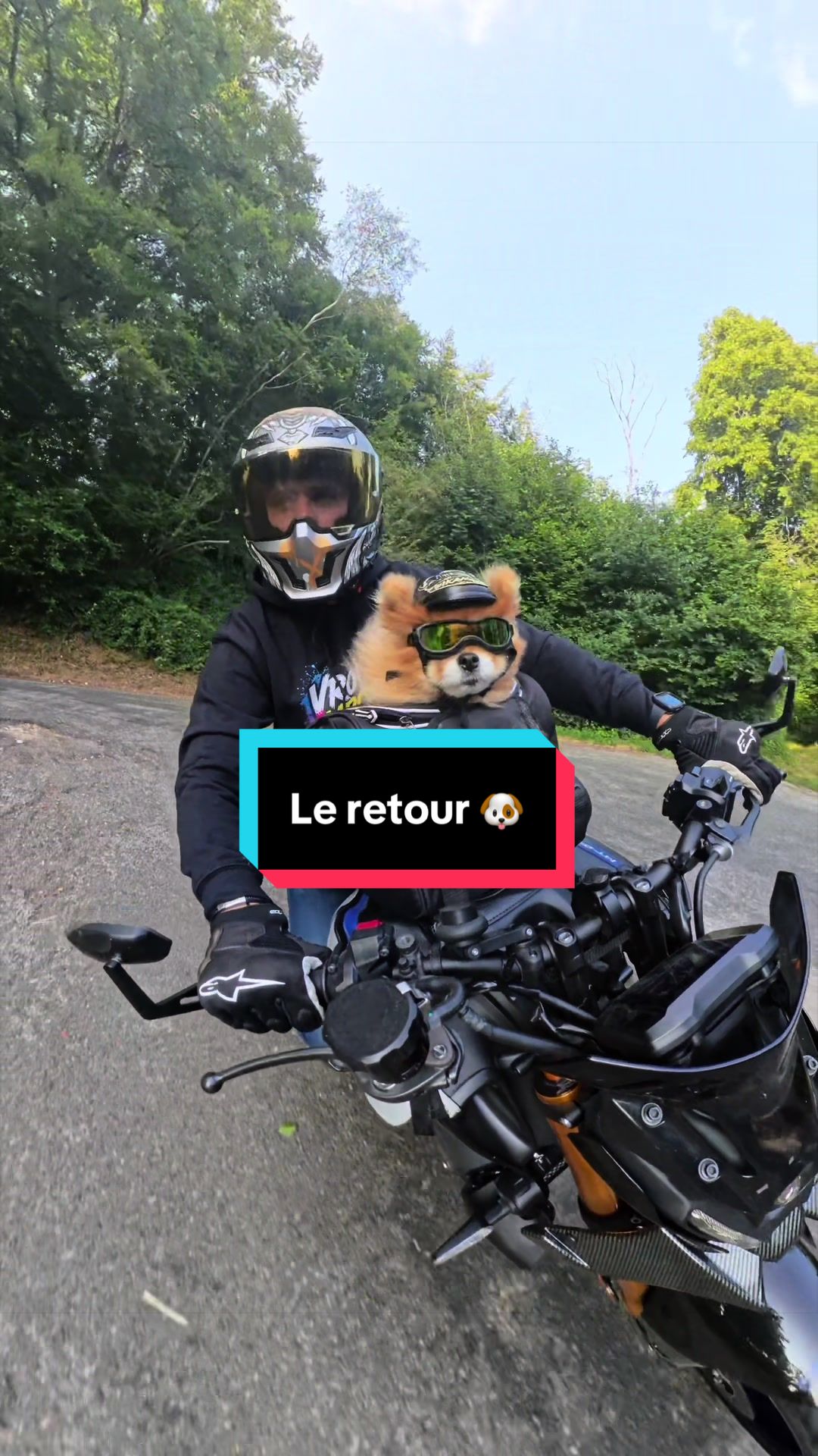 @pikanain
