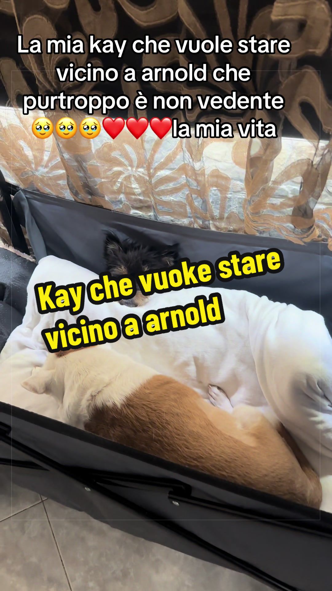 @AGO-AGOZZINO ALFREDO OFFICIAL