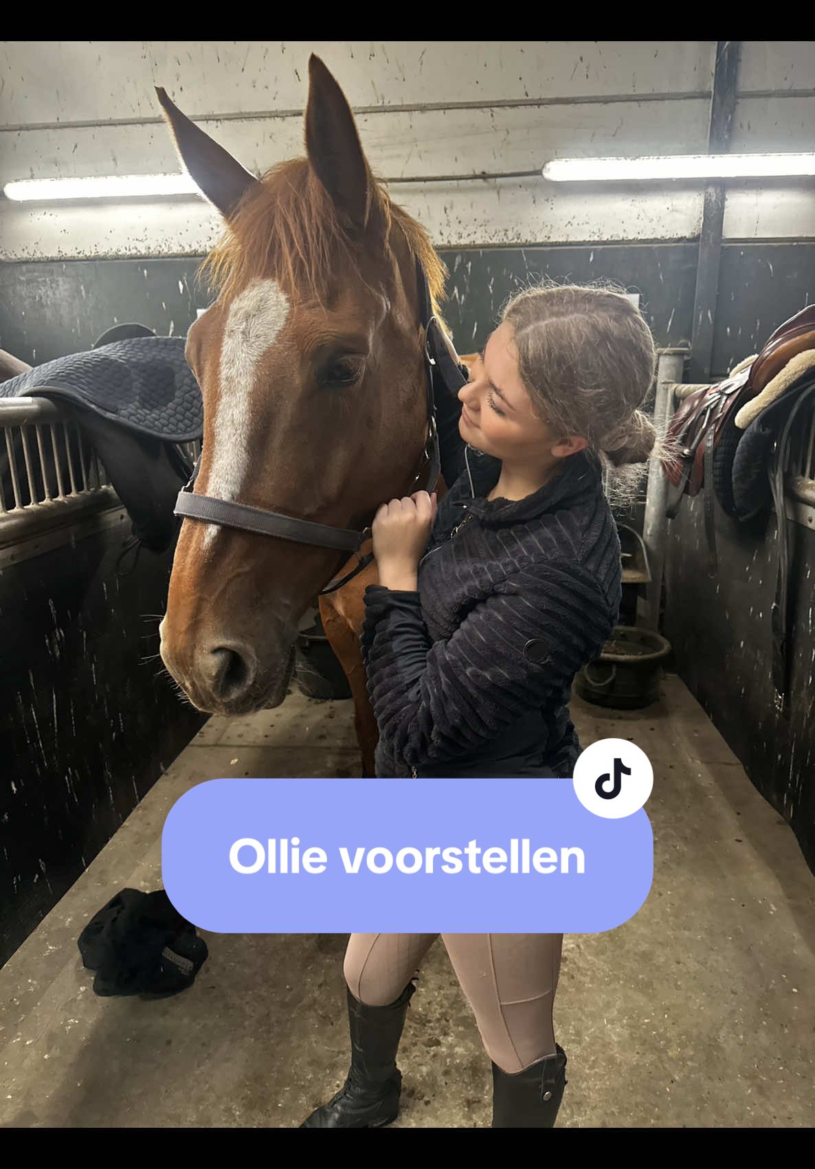 @Paardensport & -houderij Curio