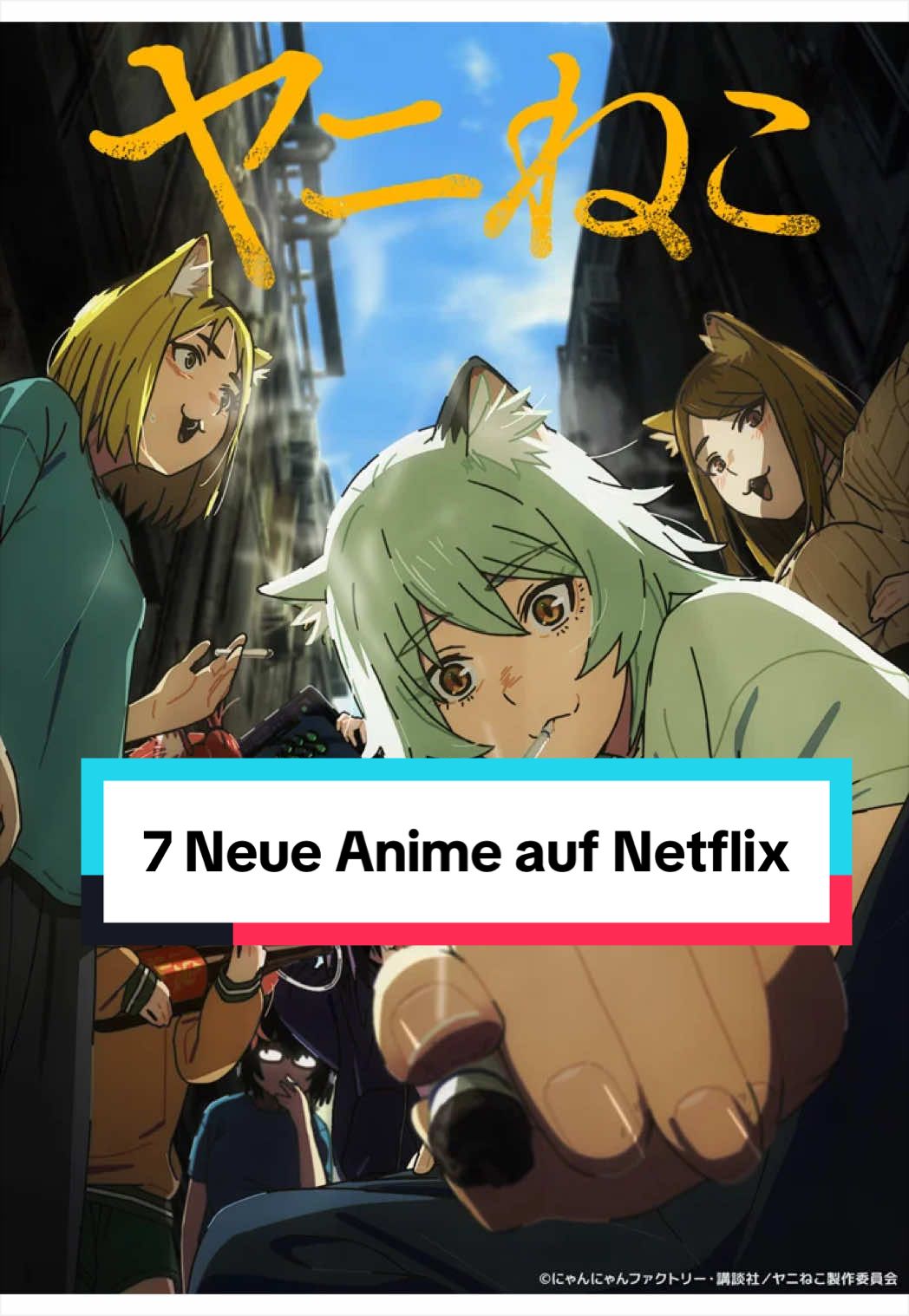 @Anime Senpai