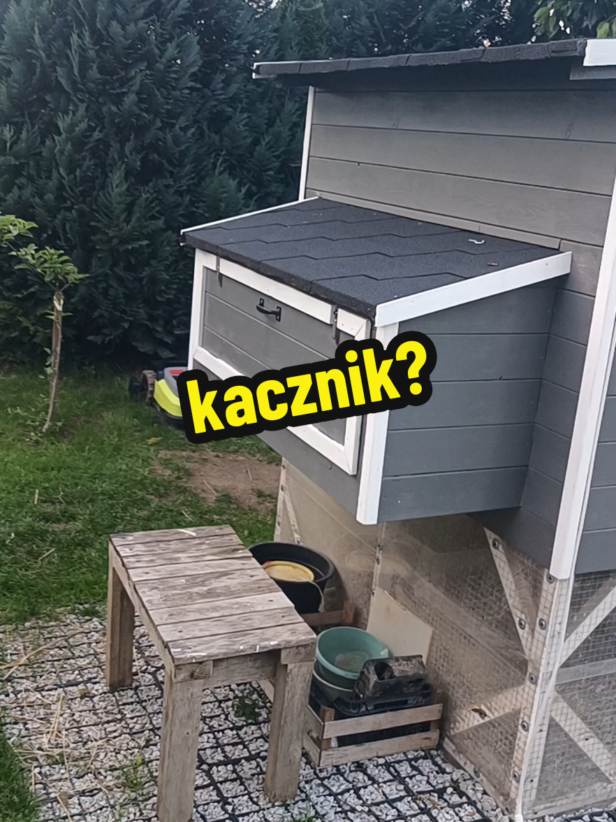 @Marcin ogrodnik