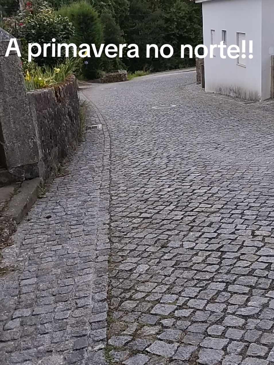 @Osmar Pereira