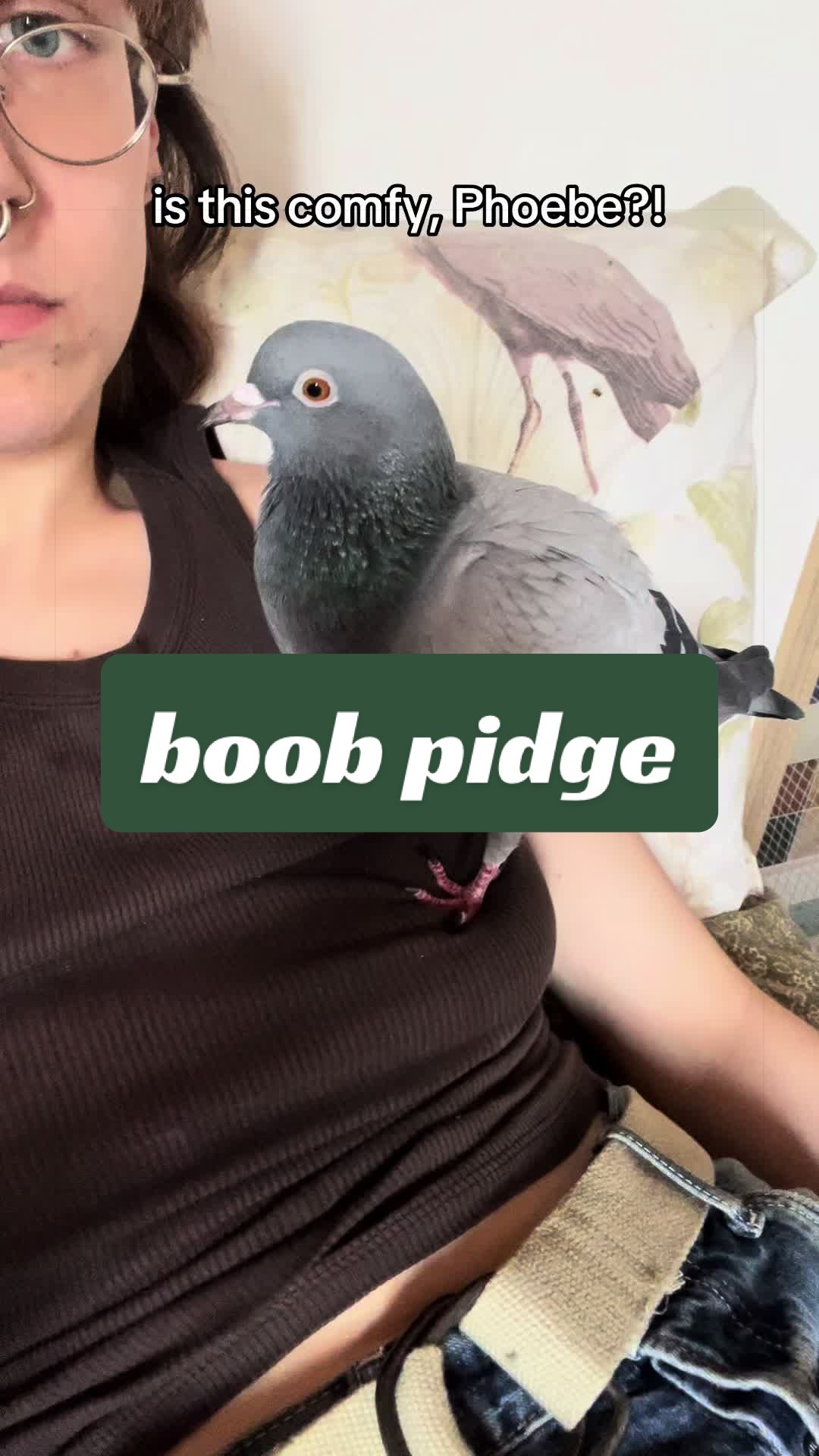 @Lisa‘s Pets