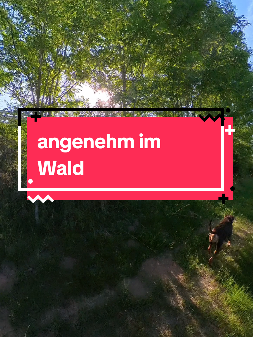 @Paddy und Sally